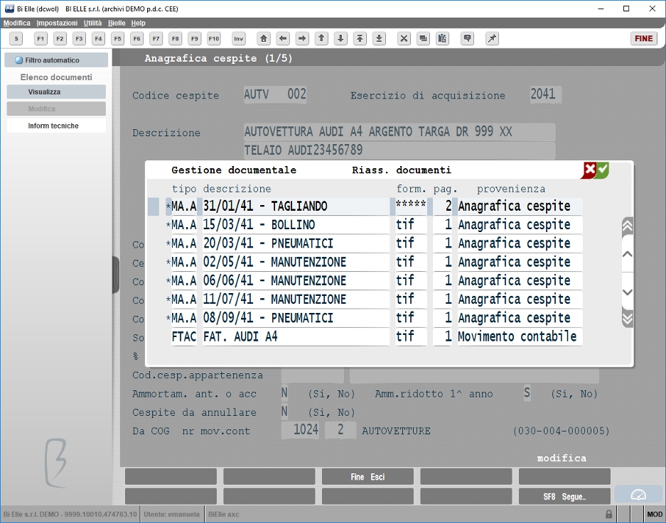Anagrafica cespite<br />